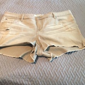 Torrid denim shorts size 22